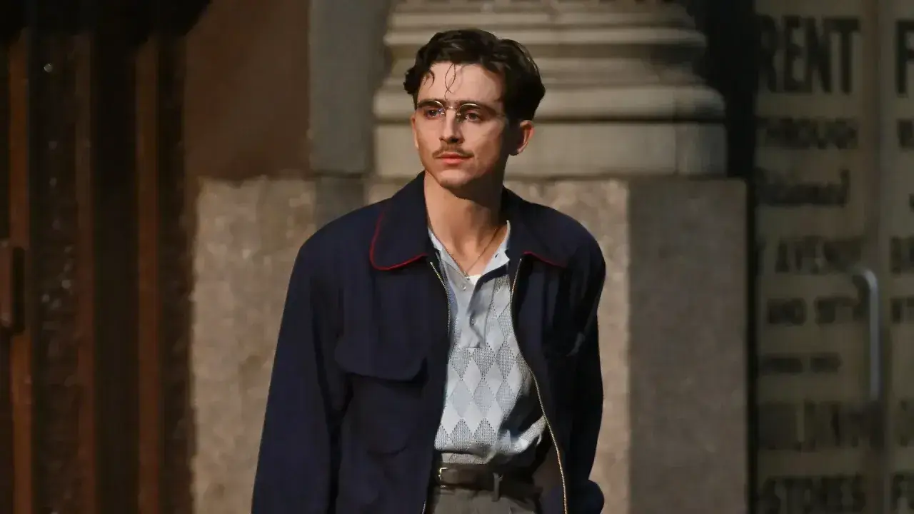 Timothée Chalamet dans