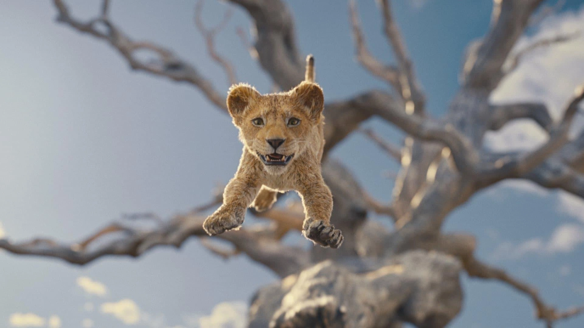 Image de l'article Mufasa : Le Roi Lion - La bande-annonce