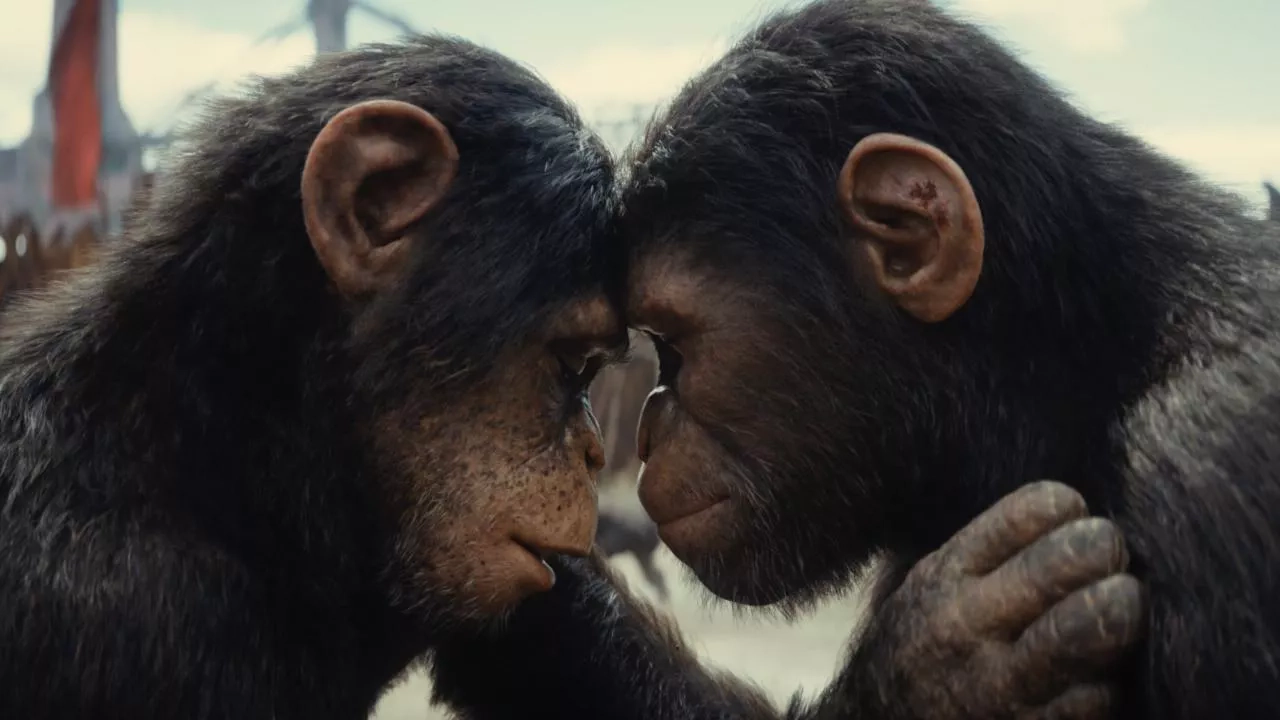 Image de l'article La Planète des Singes : un nouveau film en 2027