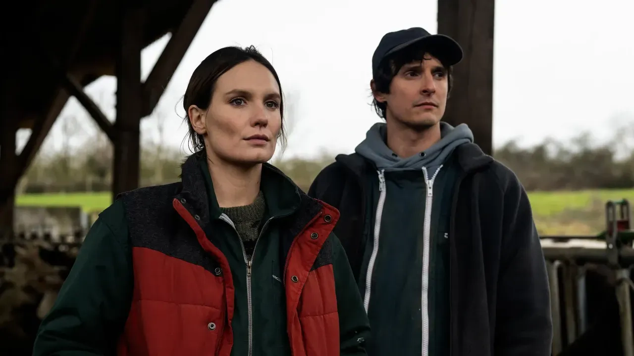 La Guerre des prix : derrière les promos, un combat invisible