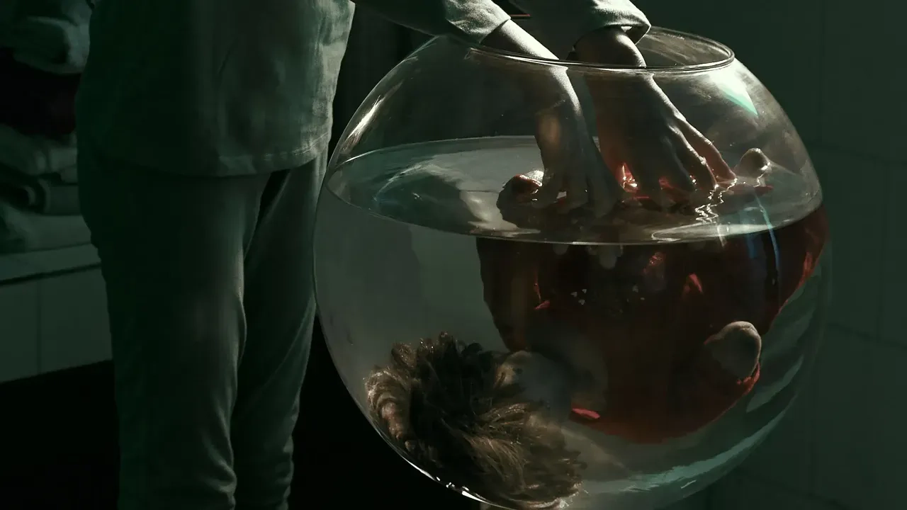 Silentium : le silence qui crie plus fort que les mots