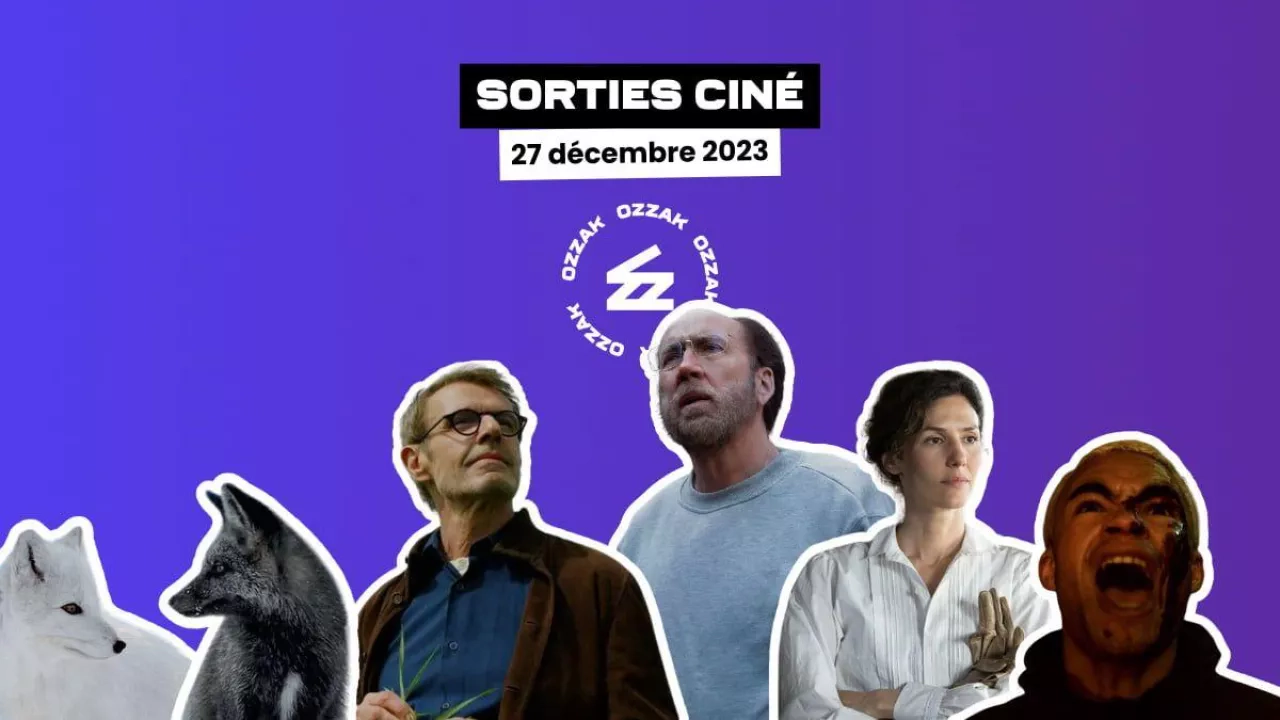Image de l'article Sorties cinéma du 27 décembre 2023 : "Dream Scenario", "L'Innocence", "Une affaire d'honneur"...