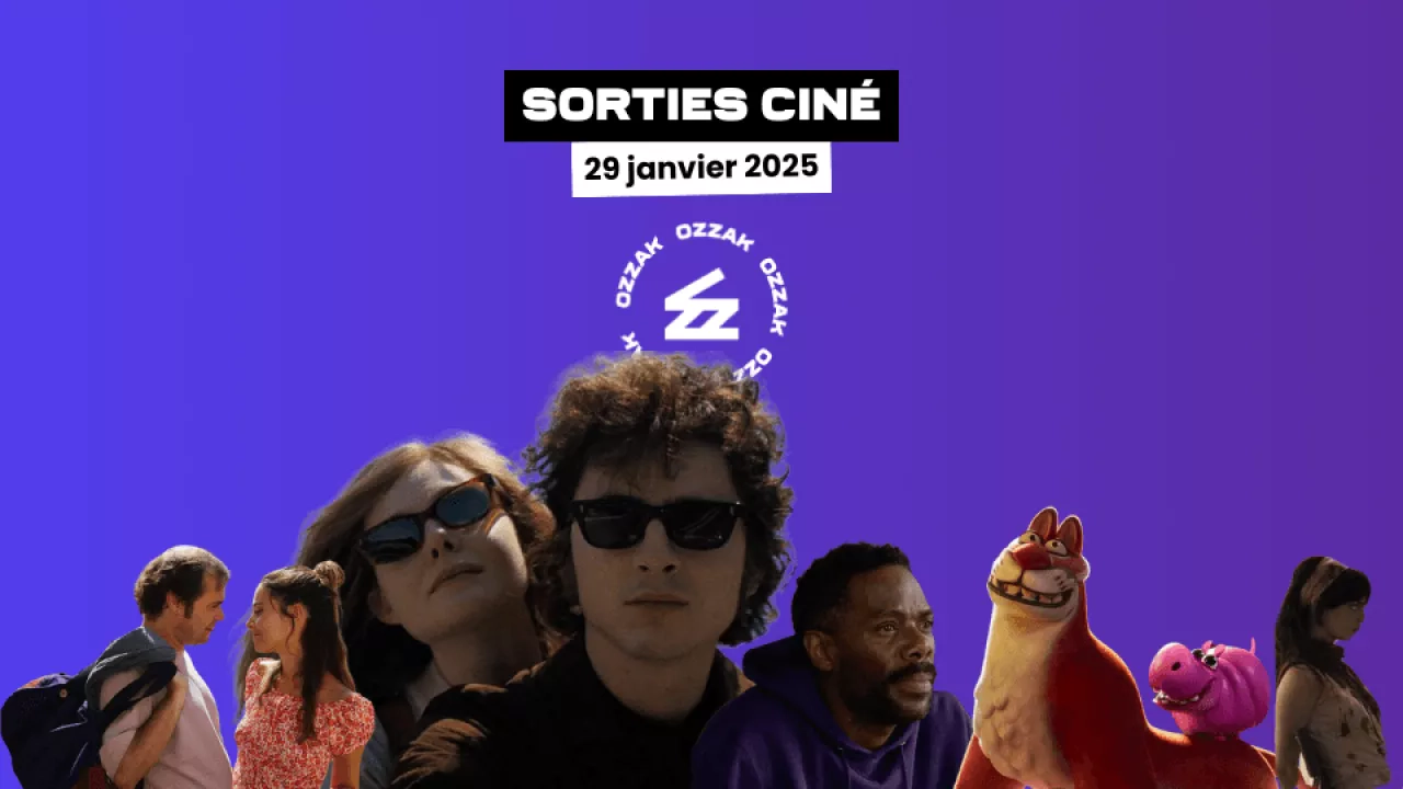 Image de l'article Sorties cinéma du 29 janvier 2025 : "Un parfait inconnu", "Companion", "Une nuit au zoo"...