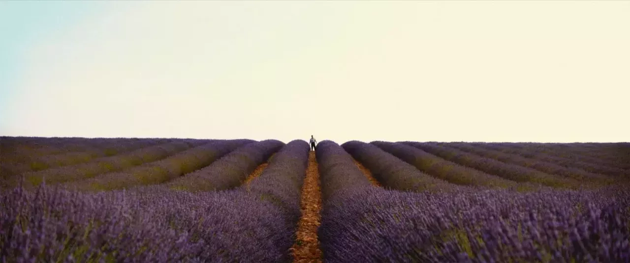 "Valensole 1965" : quand l’ordinaire rencontre l’extraordinaire