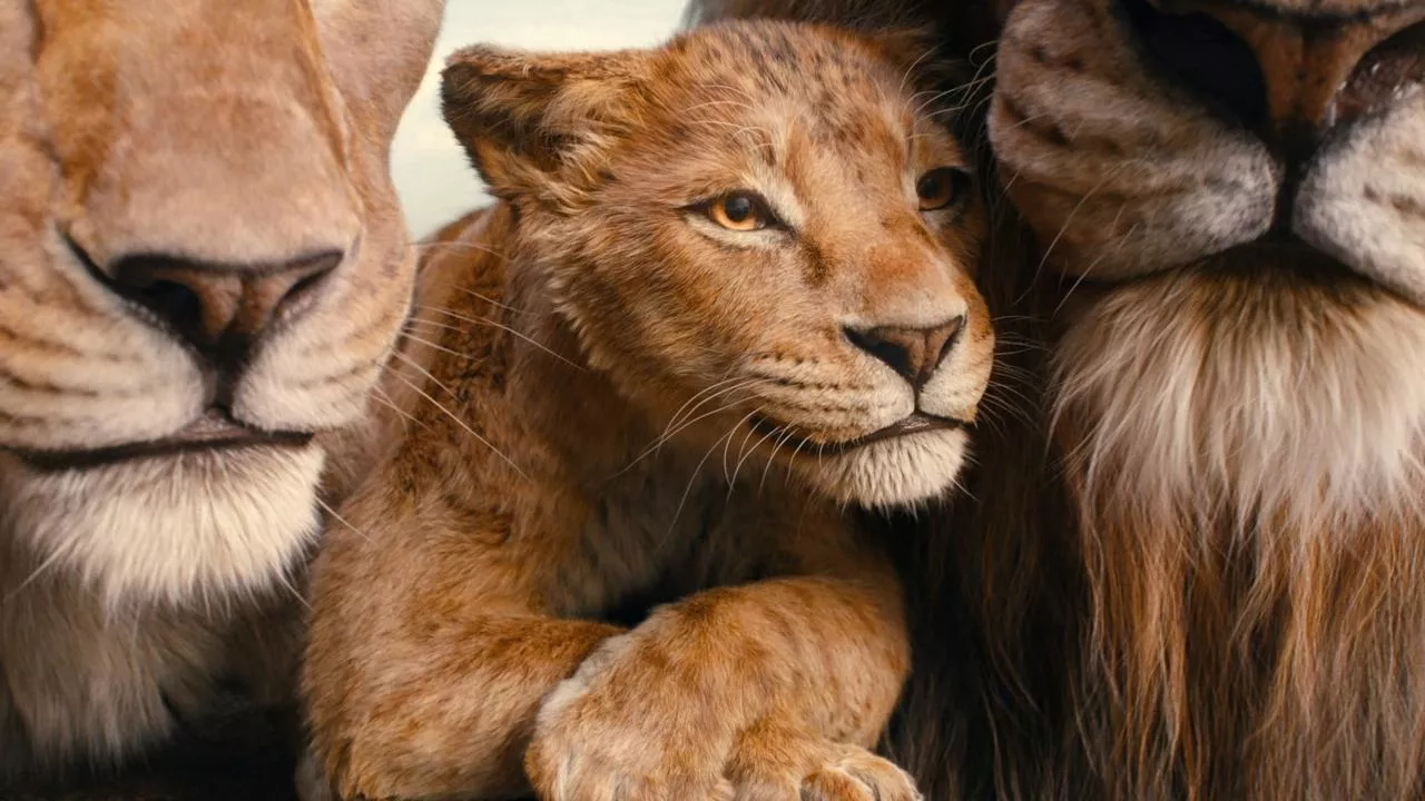 Image de l'article Mufasa : Le Roi lion - On en pense quoi ?